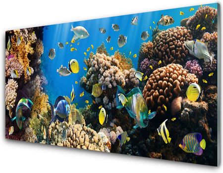 Tulup Obraz na Szkle Rafa Koralowa Natura 100x50cm (OSHNN40190546)