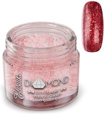 Elisium Proszek Tytanowy Diamond Twinkle By Red D05 23G