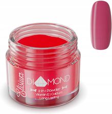 Zdjęcie ELISIUM PUDER TYTANOWY DIAMOND RUBY RED DR206 23 G - Toruń