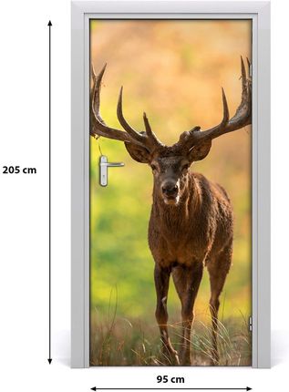 Tulup Fototapeta samoprzylepna na drzwi Jeleń w lesie 75x205cm (DOORSTICKERF1199334850)