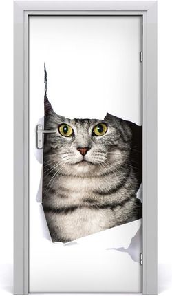 Tulup Fototapeta samoprzylepna na drzwi Kot w dziurze 75x205cm (DOORSTICKERF132207023)