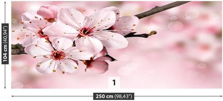 Tulup Fototapeta Różowy kwiat Samoprzylepna 416x254cm (PLFS128624426)