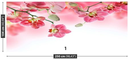 Tulup Fototapeta Tropikalne storczyki Flizelinowa 104x70cm (PLFS167413109)