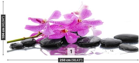 Tulup Fototapeta Różowa orchidea Samoprzylepna 250x104cm (PLFS202291039)