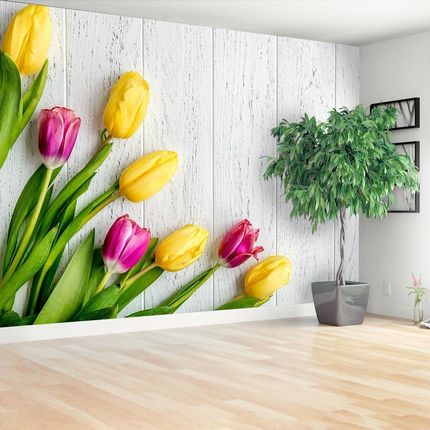 Tulup Fototapeta żółte tulipany Flizelinowa 208x146cm (PLFS581007580)