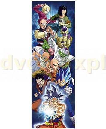 Aby Style Plakat Obraz Dragon Ball Super Group (53X158 Cm)