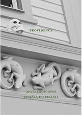 Zdjęcie Austeria Providence. Opatrznościowa Książka Do Pisania - Skała