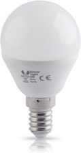 Zdjęcie Forever Light LED E14 G45 6W 3000K 480lm (74469) - Zator