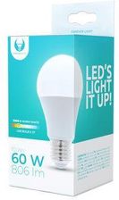 Zdjęcie Forever Light LED E27 A60 10W 230V 3000K 806lm (74472) - Skarżysko-Kamienna