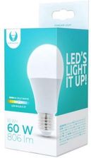 Zdjęcie Forever Light LED E27 A60 10W 230V 6000K 806lm (74474) - Łapy