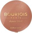 Artdeco Blush Luminizer 2W1 9G