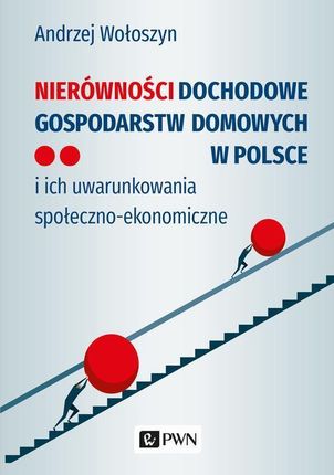 Nierówności dochodowe gospodarstw domowych w Polsce (EPUB)