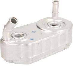 Zdjęcie Thermotec D4W004TT - Czchów