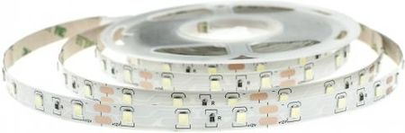 Eco Light Taśma LED 4,8W/m IP20 3000K Ciepła 5m (TA001EC)