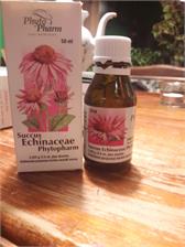 Succus Echinaceae płyn 50 ml