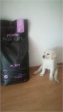 Fitmin Dog For Life Puppy 15Kg