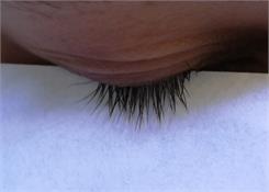 Kerabione Serum wzmacniające do rzęs 5ml