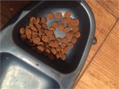 Bozita Indoor And Sterilised 2Kg