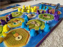 Catan Junior