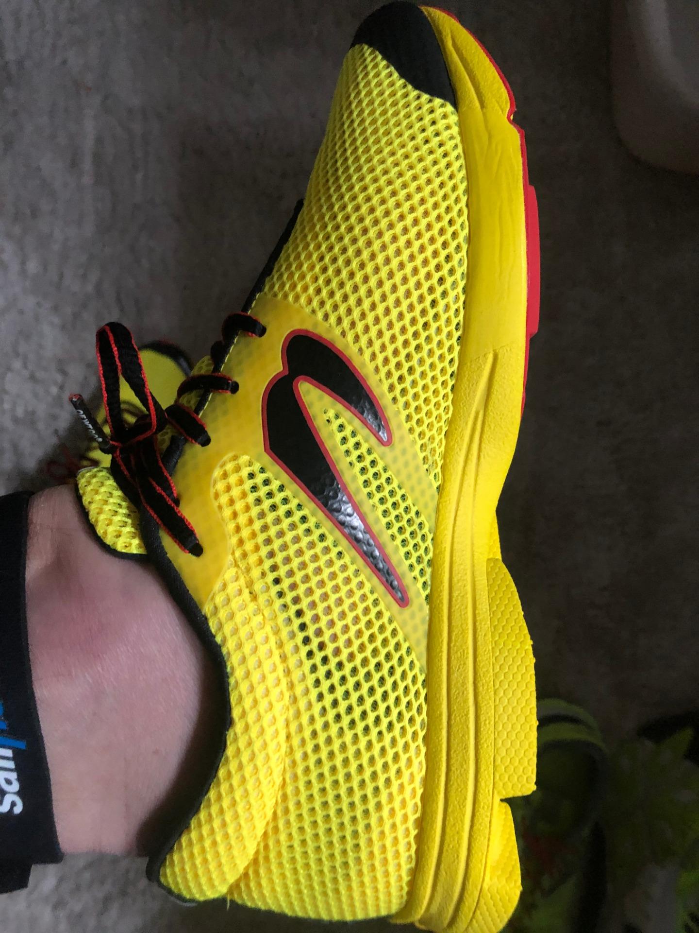 newton men's distance elite