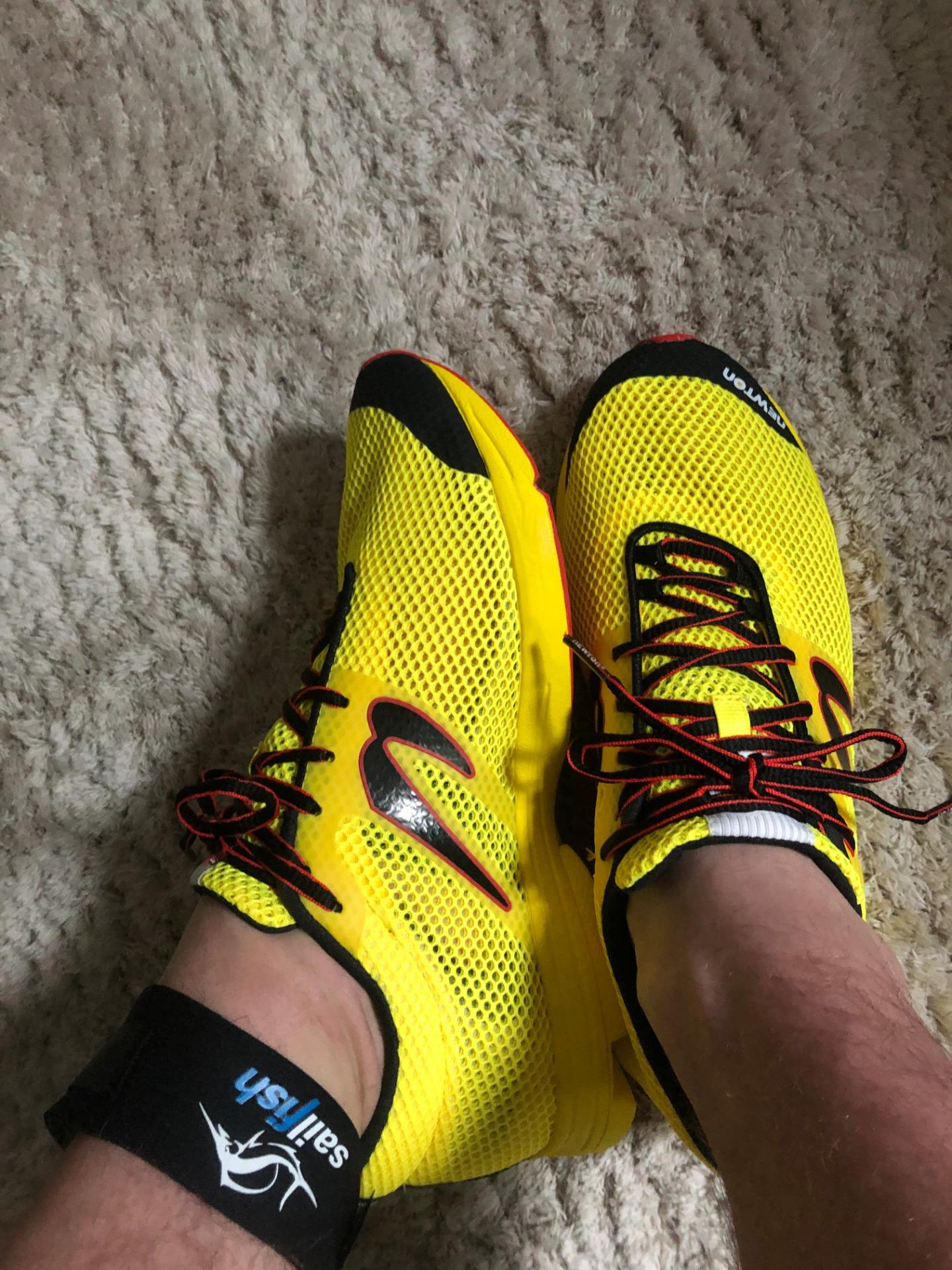 newton running distance elite