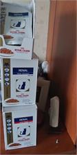 Royal Canin Veterinary Diet Renal Wołowina Feline Wet 85g