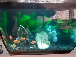 Hagen Zestaw akwarium Fluval Flex 57l czarny