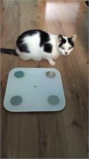 Xiaomi Mi Body Composition Scale 2