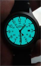 Timex Expedition TW4B01900