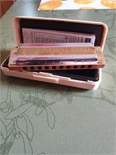 Hohner Marine Band C