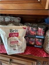 Eukanuba Sucha karma dla starszych psów małych i średnich ras bogata w jagnięcinę i ryż 2,5kg