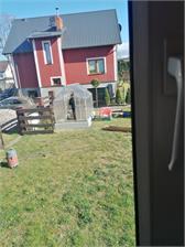 Palram Szklarnia Ogrodowa Z Poliwęglanu Silver Mythos 1,85 x 3,1 m