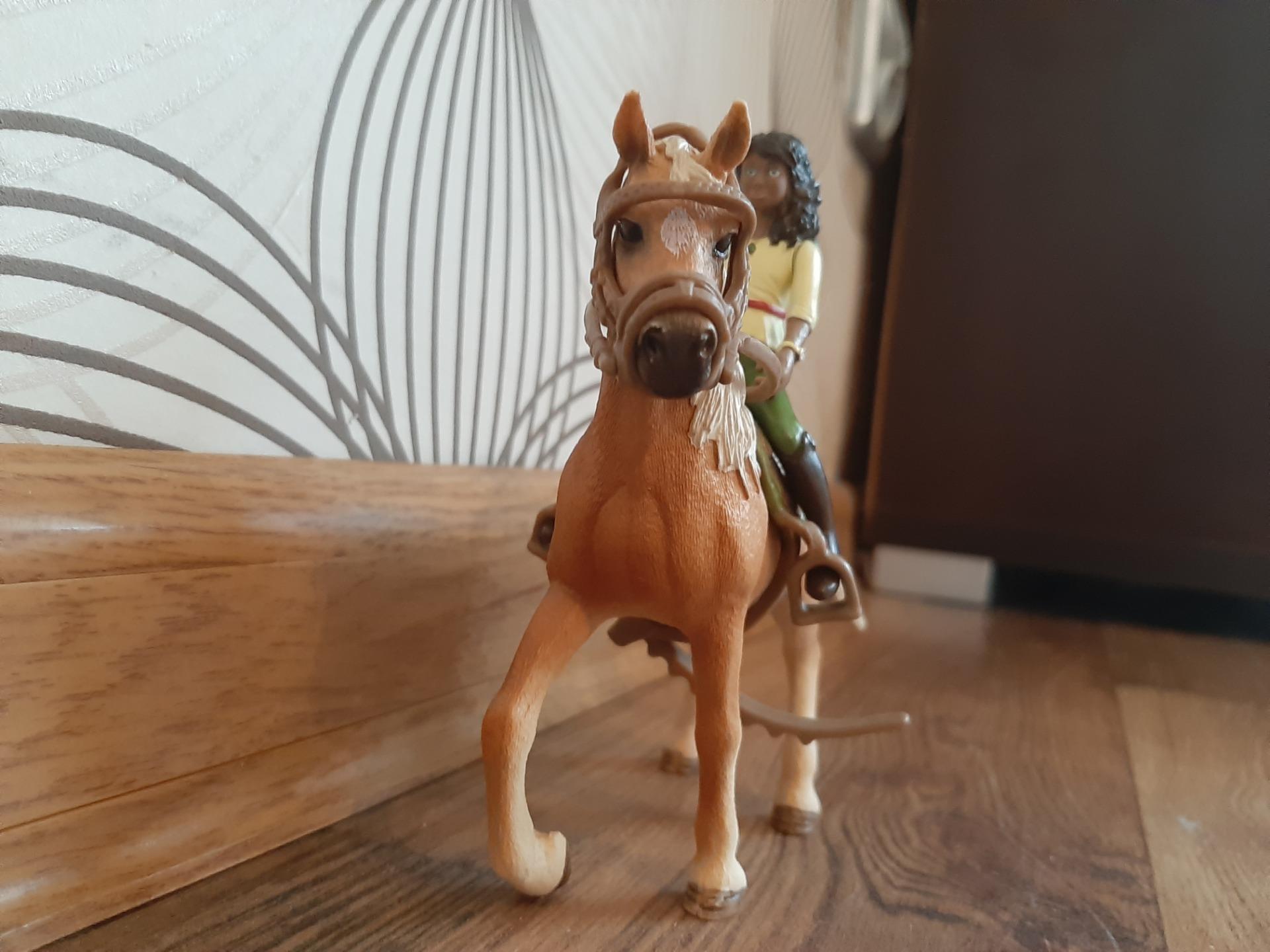 42517 Schleich Figurine Horse Club Sarah & Mystery Multicolore 