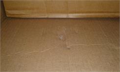 Gerlach Szybkowar Solid 6l