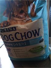 Dog Chow Puppy Dla Szczeniąt z Jagnięciną 14kg