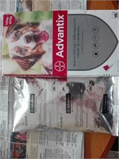 Bayer Krople do nakrapiania ADVANTIX dla psów o masie 10-25KG 1 pipeta X 2.5ML