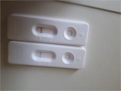 Labhome BabyCheck-1 WB Test ciążowy z krwi