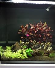 Hagen Zestaw akwarium Fluval Flex 57l czarny