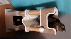Trixie Drapak stojacy XXL Lucano 110 cm