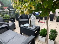 Allibert Corfu Set Quatro - Antracyt / Szary