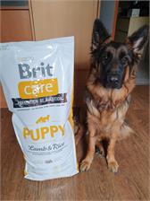 Brit Care Puppy All Breed Lamb&Rice 12Kg
