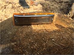 Seydel 10301C Blues Session Steel C
