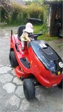 Traktorek koszący AL-KO T15-93.7 HD-A Comfort 127417