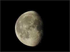Nikon COOLPIX P950