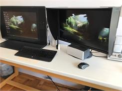 EIZO ColorEdge 24" czarny (CS2420 BK)