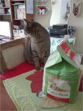 Cat'S Best Orginal Zbrylający 10L 4,3Kg