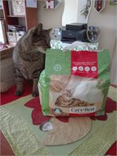 Cat'S Best Orginal Zbrylający 10L 4,3Kg