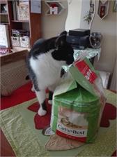 Cat'S Best Orginal Zbrylający 10L 4,3Kg