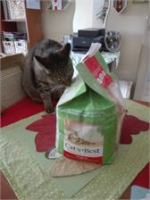 Cat'S Best Orginal Zbrylający 10L 4,3Kg