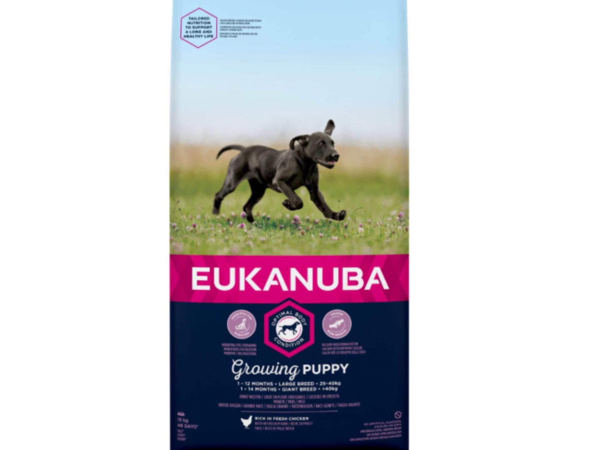 eukanuba puppy cena